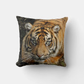 Tiger 037 kissen (Vorderseite)