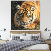 Tiger 037 leinwanddruck (Insitu (Schlafzimmer))