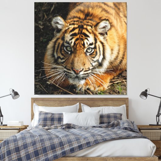 Tiger 037 leinwanddruck (Insitu (Schlafzimmer))