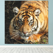 Tiger 037 leinwanddruck (Insitu (Holzboden))