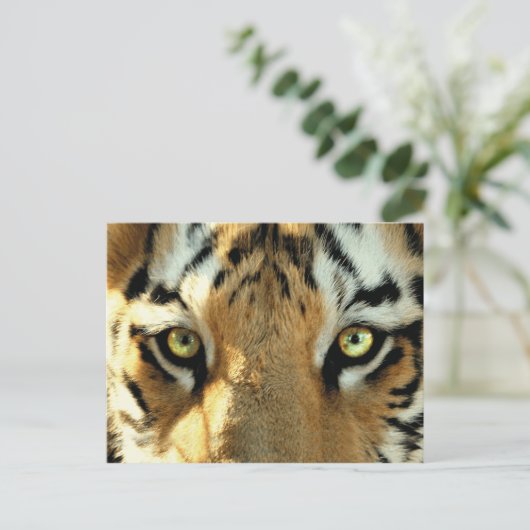 Tiger 1 - Postkarte (Stehend Vorderseite)