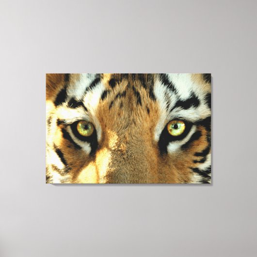 Tiger 1 - überzogene Canvas Leinwanddruck (Vorderseite)