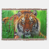 Tiger-1-wirbellose Decke (Vorderseite)