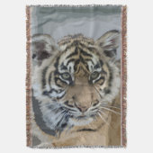 Tiger_2014_0901 Decke (Vorderseite Vertikal)