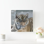 Tiger_2014_0901 Quadratische Wanduhr (Zuhause)
