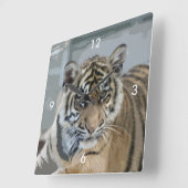 Tiger_2014_0901 Quadratische Wanduhr (Winkel)