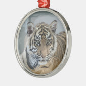 Tiger_2014_0901 Silbernes Ornament (Links)