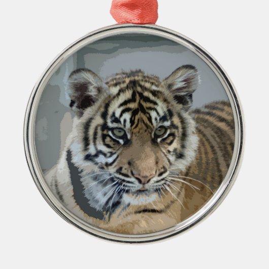 Tiger_2014_0901 Silbernes Ornament (Vorne)