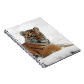 Tiger_2015_0102 Notizblock (Rechte Seite)