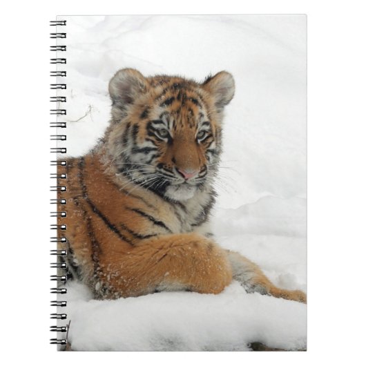 Tiger_2015_0102 Notizblock (Vorderseite)