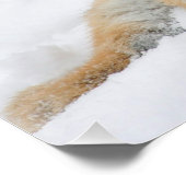 Tiger_2015_0103 Poster (Ecke)