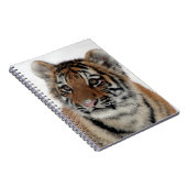 Tiger_2015_0114 Notizblock (Rechte Seite)