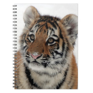 Tiger_2015_0114 Notizblock