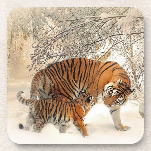 Tiger_2015_0125 Untersetzer (Vorderseite)
