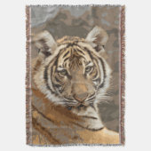 Tiger_2015_0133 Decke (Vorderseite Vertikal)