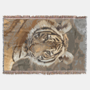 Tiger_2015_0133 Decke