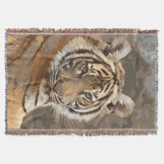 Tiger_2015_0133 Decke (Vorderseite)