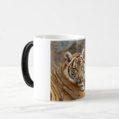 Tiger_2015_0133 Verwandlungstasse (Vorderseite Links)