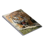 Tiger_2015_0156 Notizblock (Rechte Seite)
