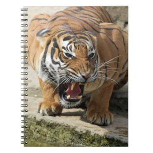 Tiger_2015_0156 Notizblock