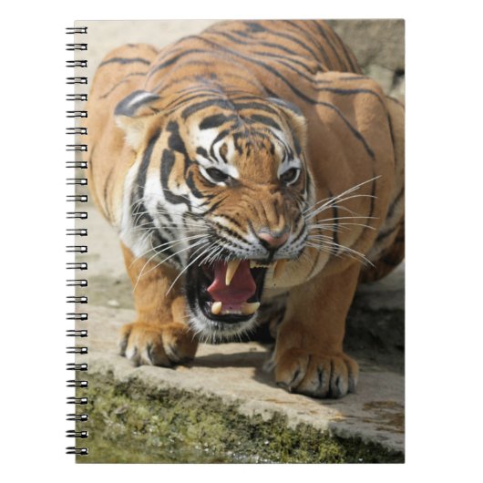 Tiger_2015_0156 Notizblock (Vorderseite)