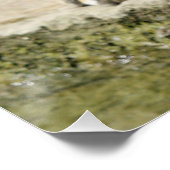 Tiger_2015_0156 Poster (Ecke)