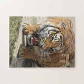 Tiger_2015_0156 Puzzle (Horizontal)