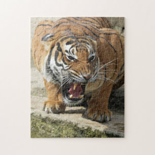 Tiger_2015_0156 Puzzle