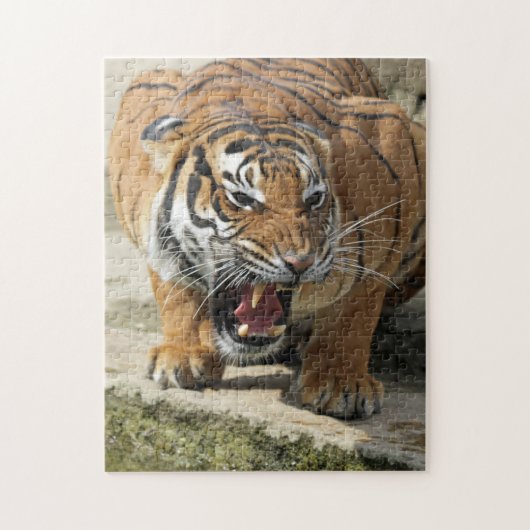 Tiger_2015_0156 Puzzle (Vertikal)