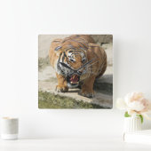 Tiger_2015_0156 Quadratische Wanduhr (Zuhause)