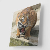 Tiger_2015_0156 Quadratische Wanduhr (Winkel)