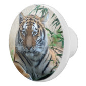 Tiger_20171103_by_JAMFoto Keramikknauf (Rechts)