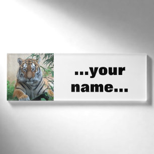 Tiger_20171103_by_JAMFoto Namenschild