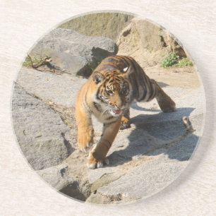 Tiger_20190302_by_JAMFoto Getränkeuntersetzer