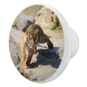 Tiger_20190302_by_JAMFoto Keramikknauf (Rechts)