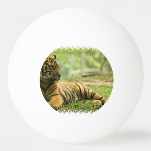 tiger-28 tischtennisball (Vorderseite)