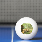 tiger-28 tischtennisball (Netto)