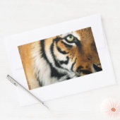 Tiger 2 - Aufkleber (Umschlag)