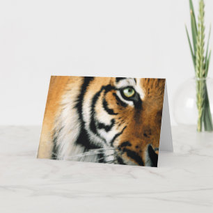 Tiger 2 - Grußkarte Feiertagskarte