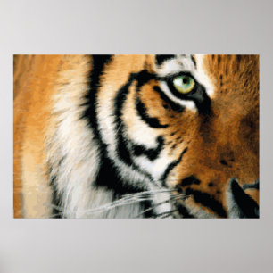 Tiger 2 - Poster