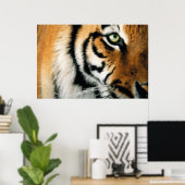 Tiger 2 - Poster (Heimbüro)