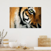 Tiger 2 - Poster (Küche)