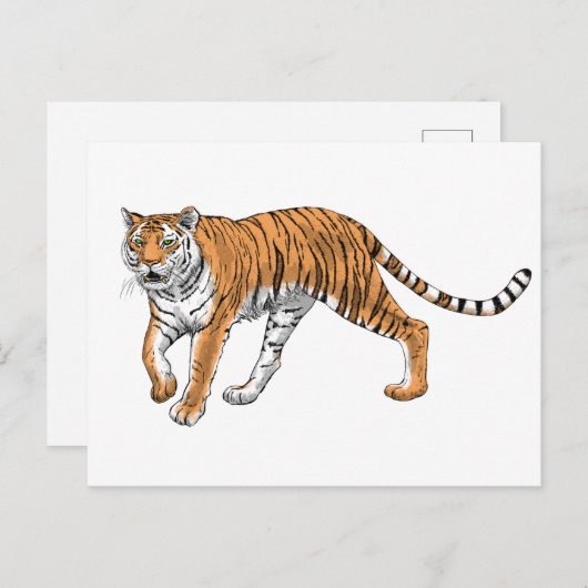 Tiger 2 postkarte (Vorne/Hinten)