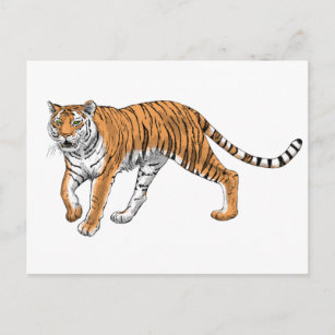 Tiger 2 postkarte