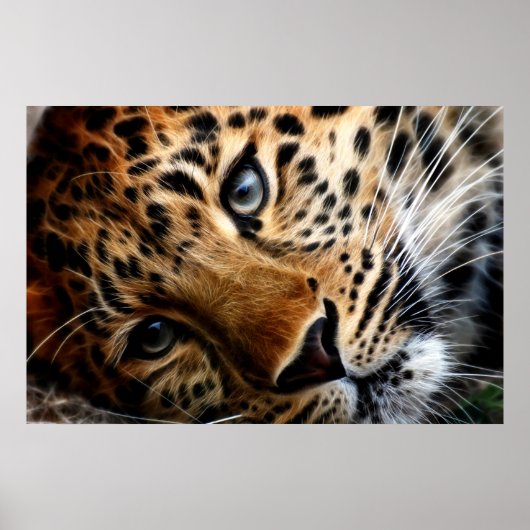 Tiger 3 - Poster (Vorne)