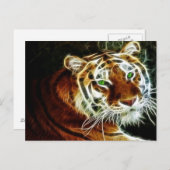 Tiger 3 postkarte (Vorne/Hinten)