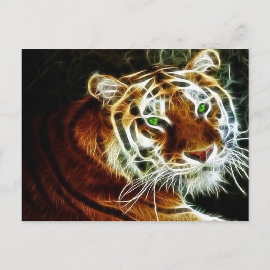 Tiger 3 postkarte (Vorderseite)