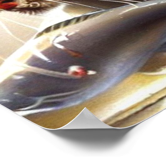 Tiger (3) Wildkatze Poster (Ecke)