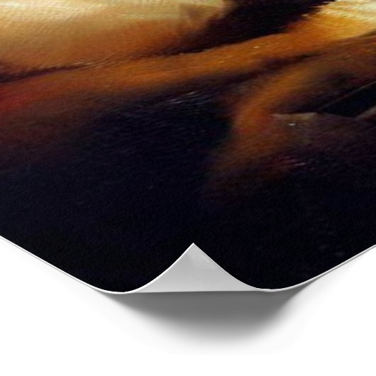 Tiger (8) Wildkatze Poster (Ecke)