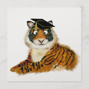 Tiger-Abschluss - SRF Einladung